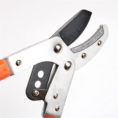 Cmc Tools Çift Kollu Uzatmalı Dal Budama Makası 5012