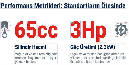 Factor Benzinli Sırt Tırpan 3 HP FCBG650
