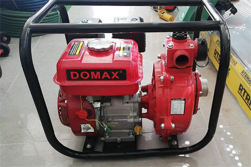 Domax Yüksek Basınçlı Benzinli Su Motoru 2 7HP