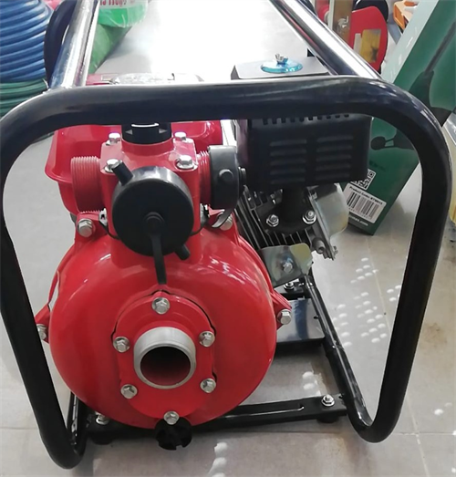 Domax Yüksek Basınçlı Benzinli Su Motoru 2 7HP