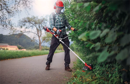 Einhell Agıllo 36/255 BL-Solo Çalı Tırpanı 3411320