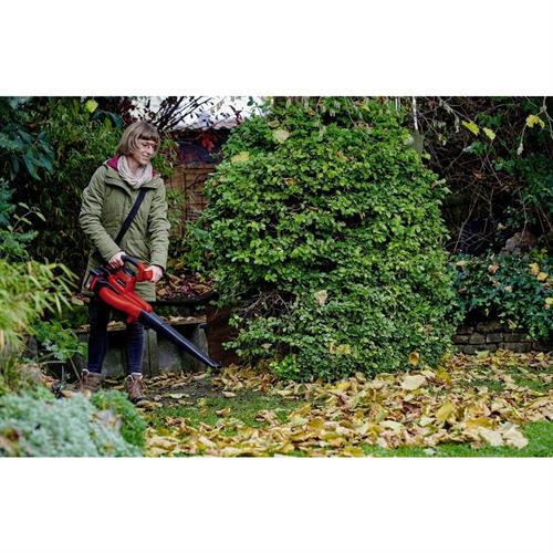 Einhell GE-CL 36/230 Lİ E-Solo Yaprak Toplama 3433630