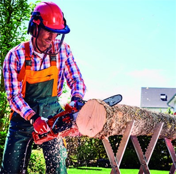 Einhell GH-EC 1835 Elektrikli Ağaç Motoru 4501710