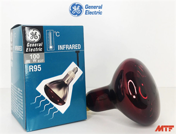 General Isıtıcı Ampul E27 100W