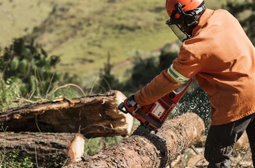 Husqvarna 61 Motorlu Ağaç Kesme Makinesi