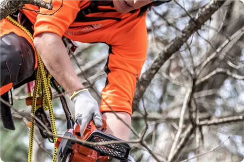 Husqvarna T525 Benzinli Dal Budama Testeresi