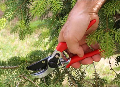 Maxgarden Bağ Makası Bahçe Bitki Çiçek Ağaç Dal Budama Makası 285143