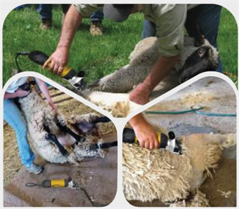 Rtrmax Rtm923 Elektrikli Koyun Kırkma Makinası