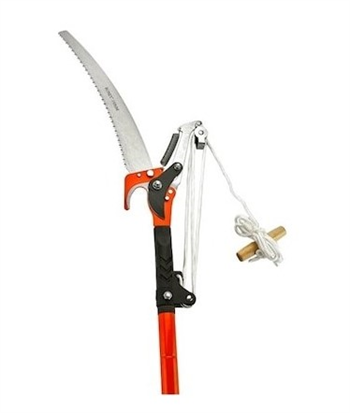 Sera Dal Budama İpli-Saplı 16003