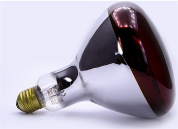 Tungsram Isıtıcı Ampul E27 250W