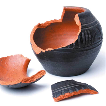 VODABOND Tamir Et Şeffaf 20gr