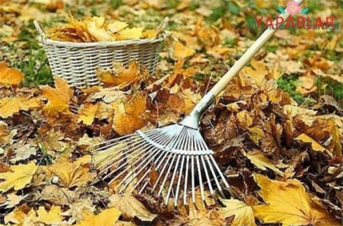 Ypr Metal Yaprak Tırmığı Ayarlı 95009