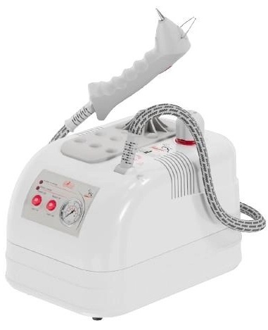 Goldental GLD/MN 2004 2 Litre Buharlı Temizleme Robotu