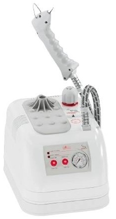 Goldental GLD/MN 2004 2 Litre Buharlı Temizleme Robotu görsel 2