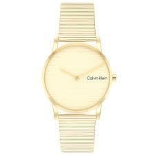 Calvin Klein CK25100035 Kadın Kol Saati