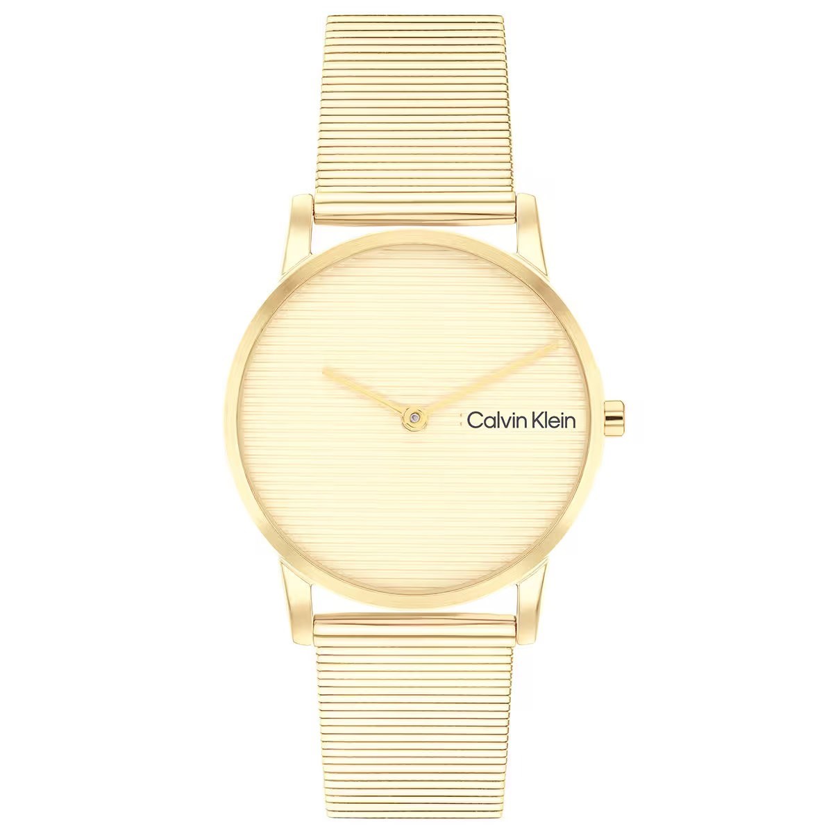 Calvin Klein CK25100035 Kadın Kol Saati