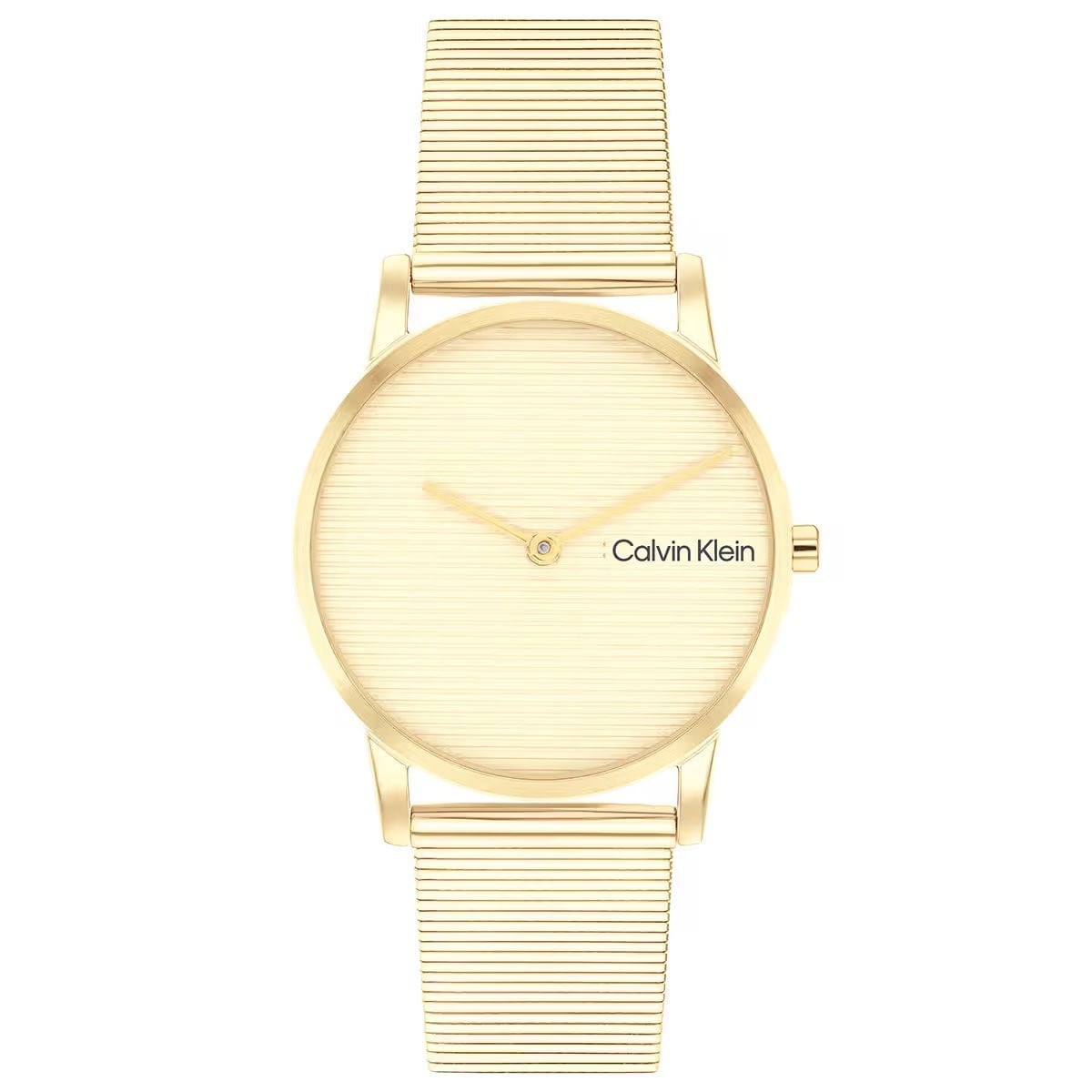 Calvin Klein CK25100035 Kadın Kol Saati
