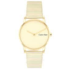 Calvin Klein CK25100035 Kadın Kol Saati