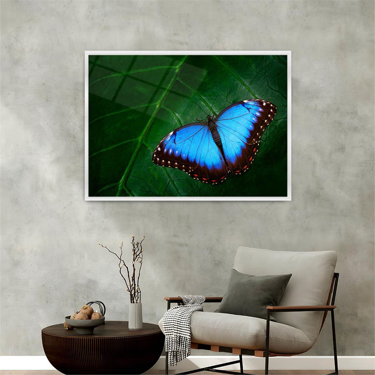 bedrucktes Glas mit Aluminiumrahmen und Natur Themen 