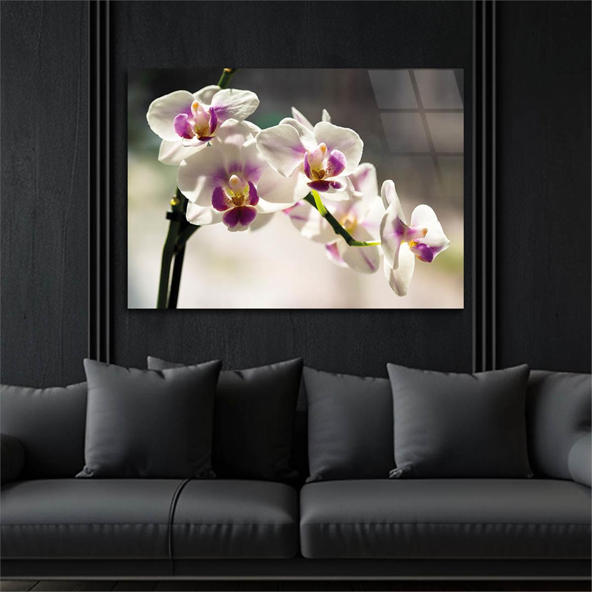 Horizontal Natured-Themed Tempered Glass Wall Art 312