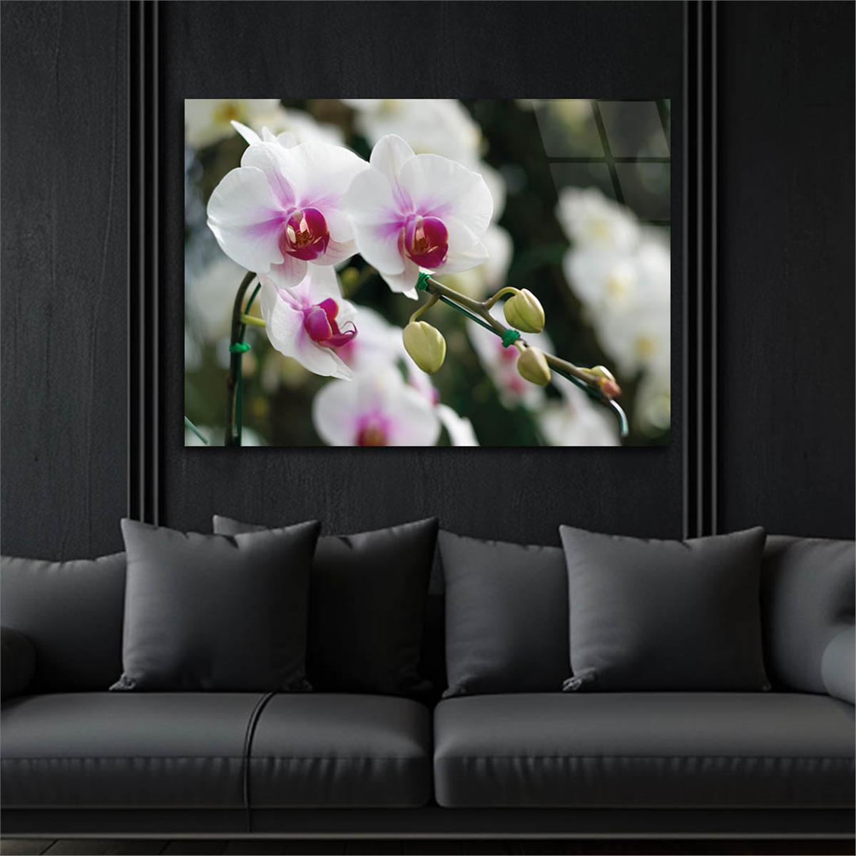 Horizontal Natured-Themed Tempered Glass Wall Art 311