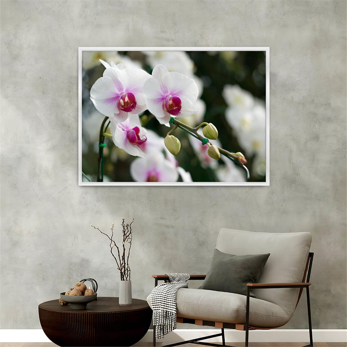 Aluminum-Framed Natured-Themed Tempered Glass Wall Art 055