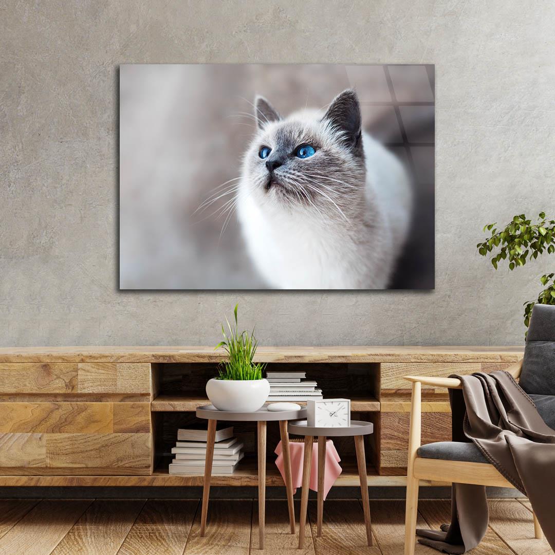 Tempered Glasss Wall Arts Art-Themed