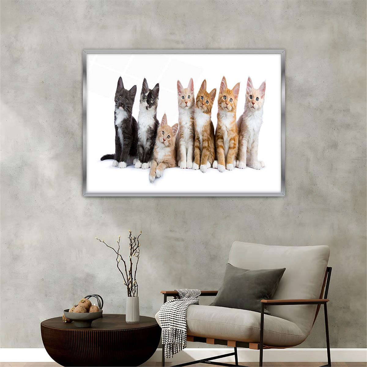 bedrucktes Glas mit Aluminiumrahmen und Natur Themen 