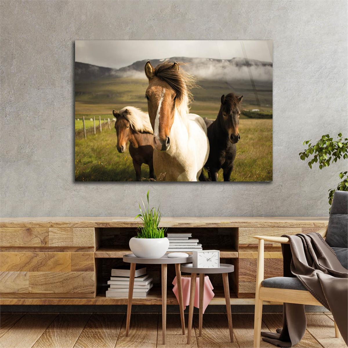 Tempered Glasss Wall Arts Natured-Themed