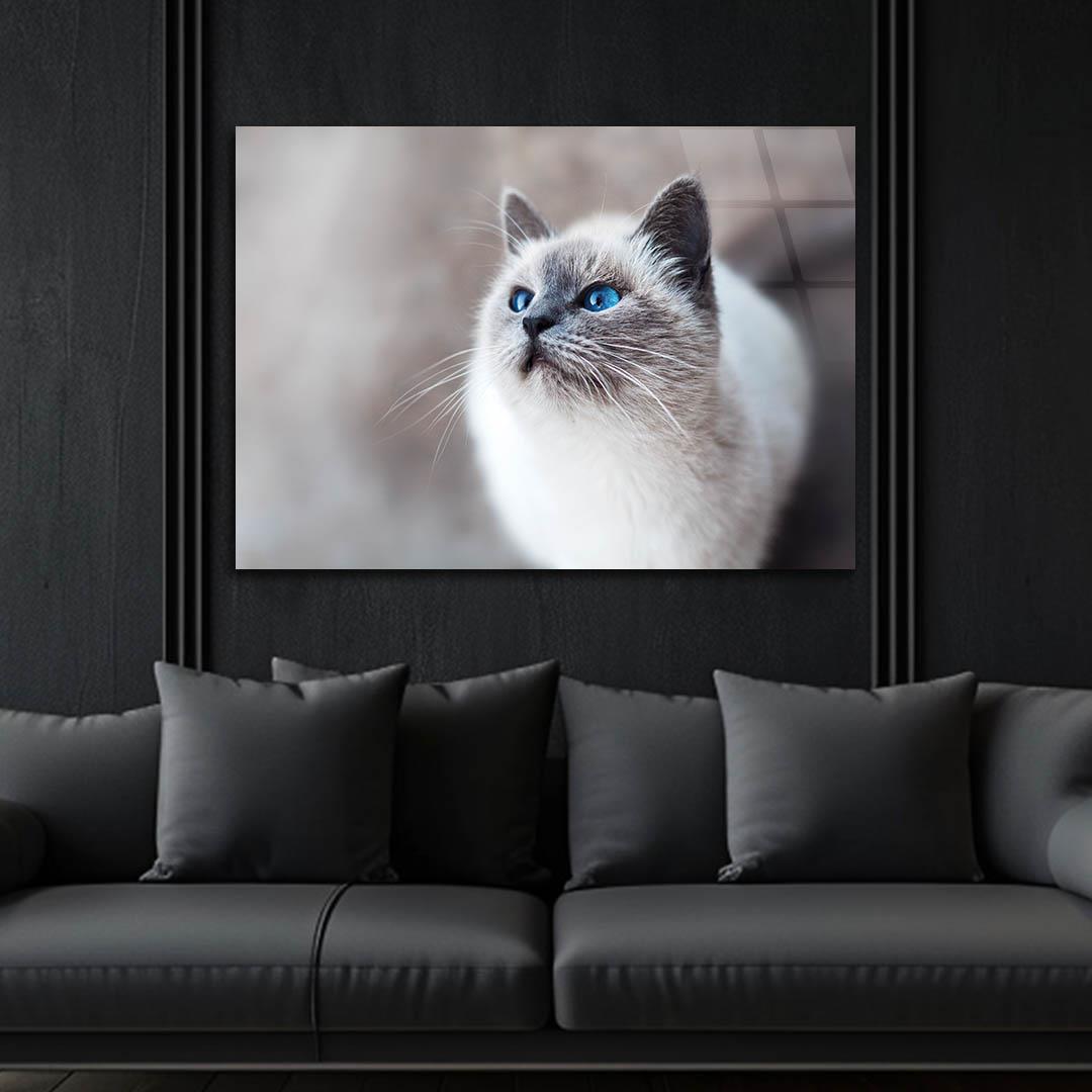 Tempered Glasss Wall Arts Art-Themed