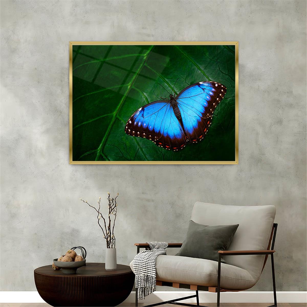 bedrucktes Glas mit Aluminiumrahmen und Natur Themen 