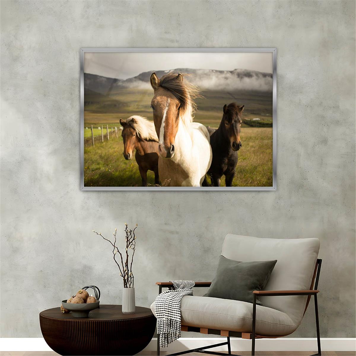 Aluminum-Framed Natured-Themed Tempered Glass Wall Art 143