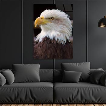 لوح زجاجي الطبيعة