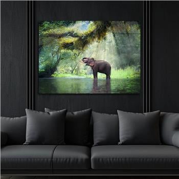 DOĞA TEMALI TABLOLAR