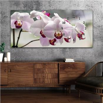 Yatay Saatli Yandan Sanat ve Doğa Temalı Cam Tablo 202