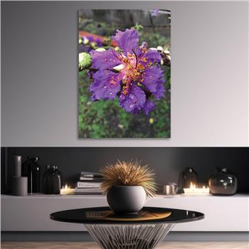 لوح زجاجي الطبيعة