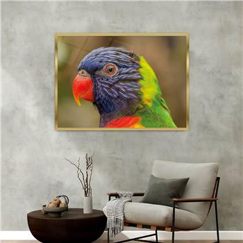 bedrucktes Glas mit Aluminiumrahmen und Kunst Themen 