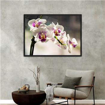 Aluminium Omlijste Natuur Thema Geharde Glasschilderij 056