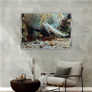 Aluminium Omlijste Natuur Thema Geharde Glasschilderij 059