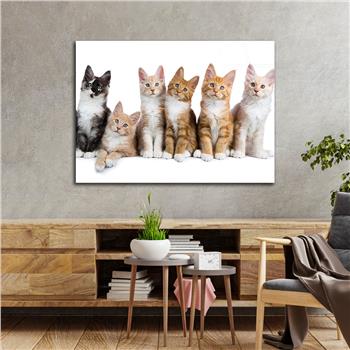 Thema Natur auf bedrucktem Glas