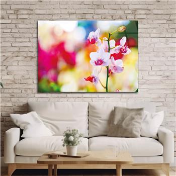 Thema Natur auf bedrucktem Glas