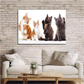 DOĞA TEMALI TABLOLAR