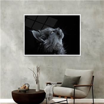 bedrucktes Glas mit Aluminiumrahmen und Kunst Themen 