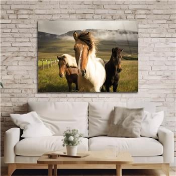 Thema Natur auf bedrucktem Glas