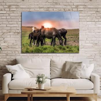 Tempered Glasss Wall Arts Art-Themed