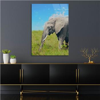 لوح زجاجي الطبيعة