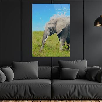 لوح زجاجي الطبيعة