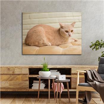 Yatay DoğaTemalı Cam Tablo 358