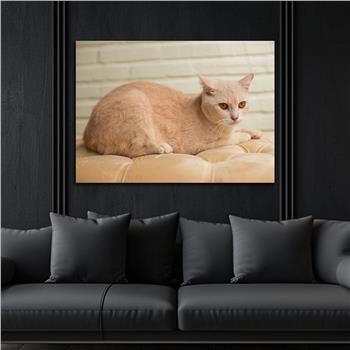 Yatay DoğaTemalı Cam Tablo 358