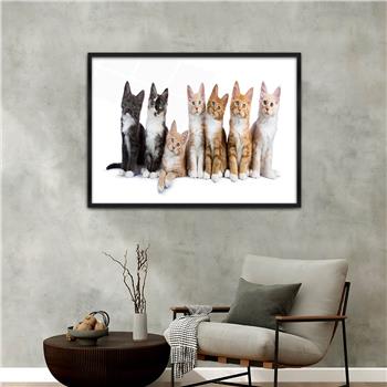 Aluminium Omlijste Natuur Thema Geharde Glasschilderij 126